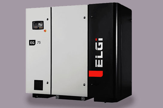 ELGI Compressor